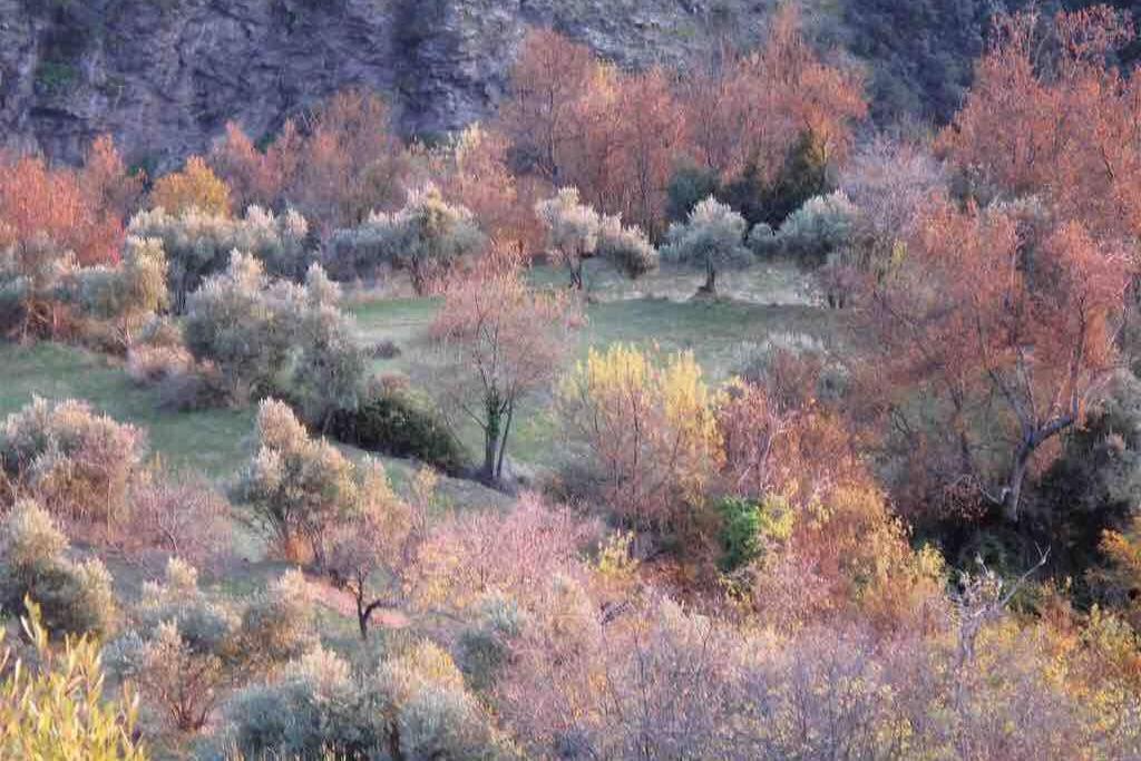 Casa Carmela, Rural House With Spectacular Views, In An Exquisite Area Villa Atalbeitar Exteriör bild