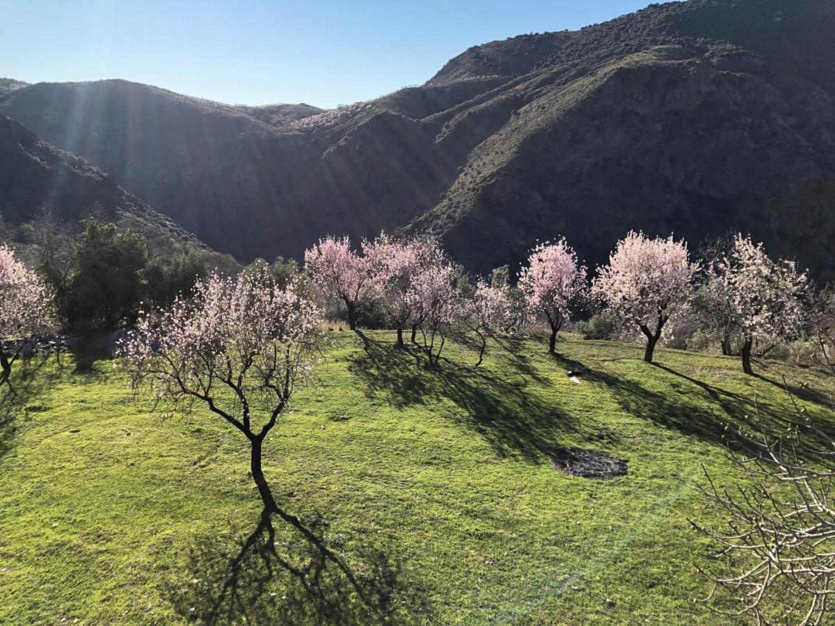 Casa Carmela, Rural House With Spectacular Views, In An Exquisite Area Villa Atalbeitar Exteriör bild