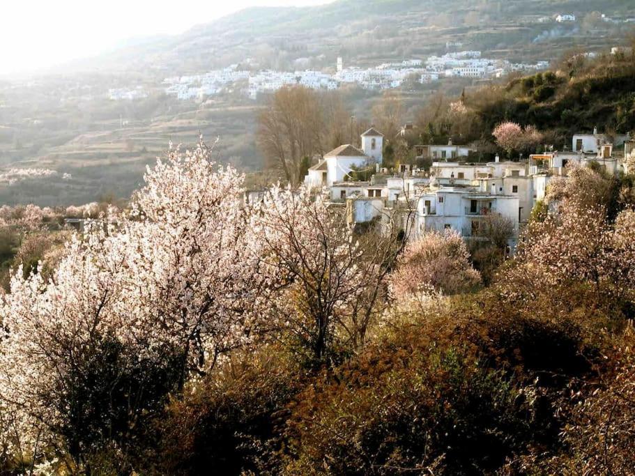 Casa Carmela, Rural House With Spectacular Views, In An Exquisite Area Villa Atalbeitar Exteriör bild