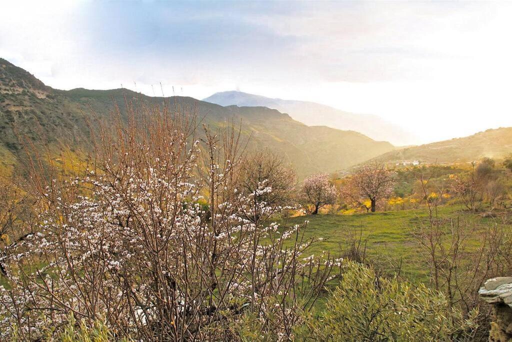 Casa Carmela, Rural House With Spectacular Views, In An Exquisite Area Villa Atalbeitar Exteriör bild