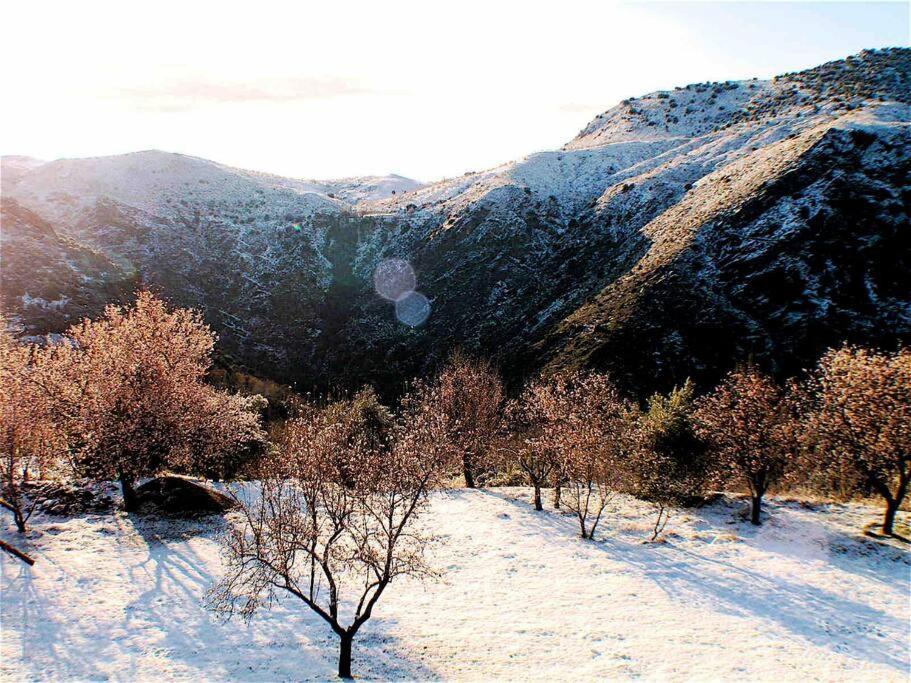 Casa Carmela, Rural House With Spectacular Views, In An Exquisite Area Villa Atalbeitar Exteriör bild