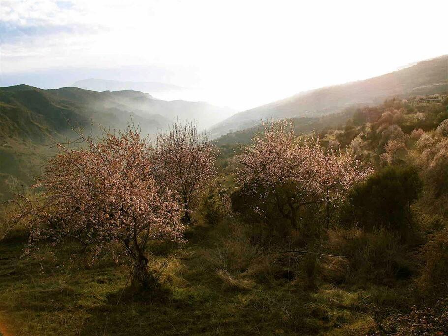 Casa Carmela, Rural House With Spectacular Views, In An Exquisite Area Villa Atalbeitar Exteriör bild
