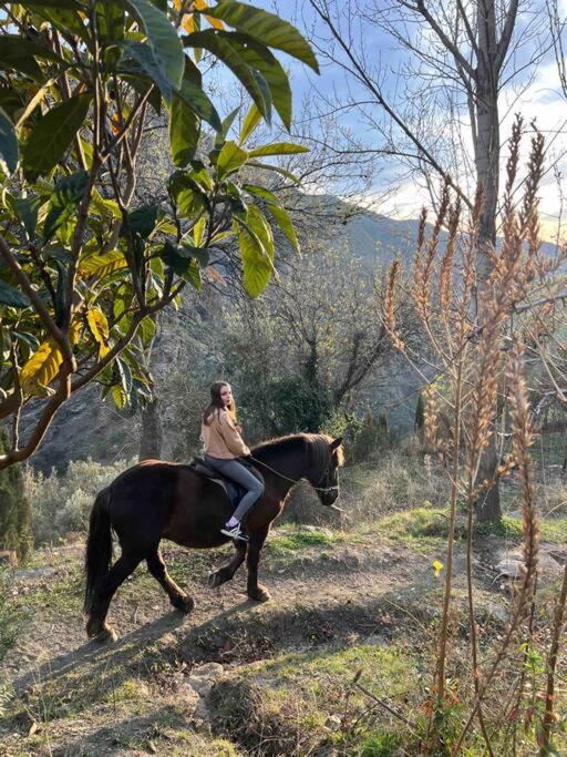 Casa Carmela, Rural House With Spectacular Views, In An Exquisite Area Villa Atalbeitar Exteriör bild